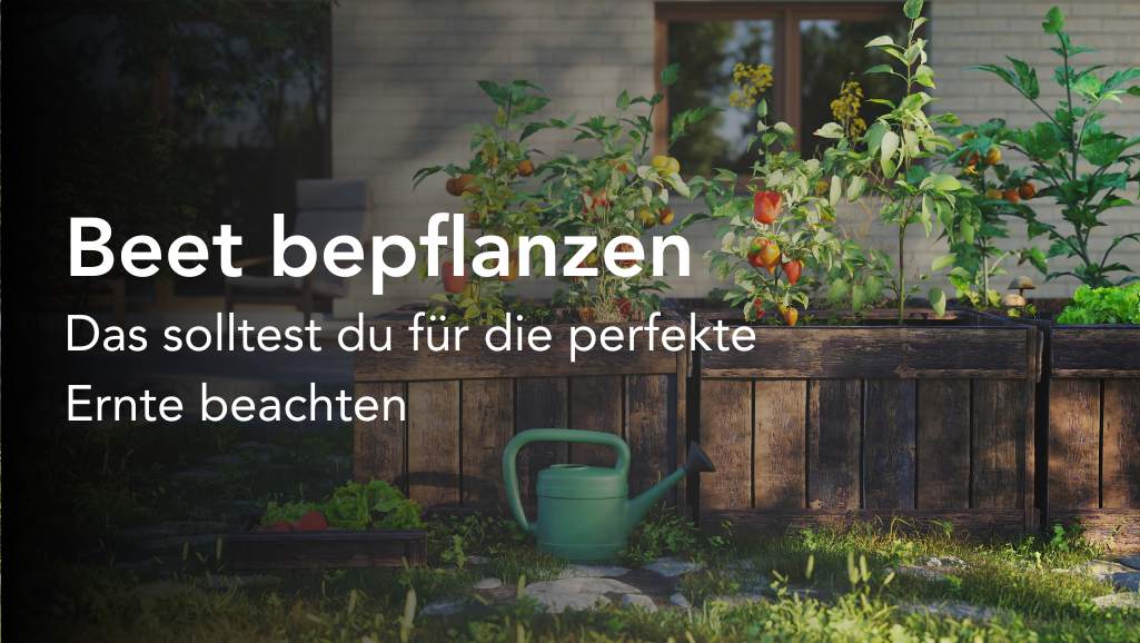 Hochbeet bepflanzen mit Gemüse oder Blumen