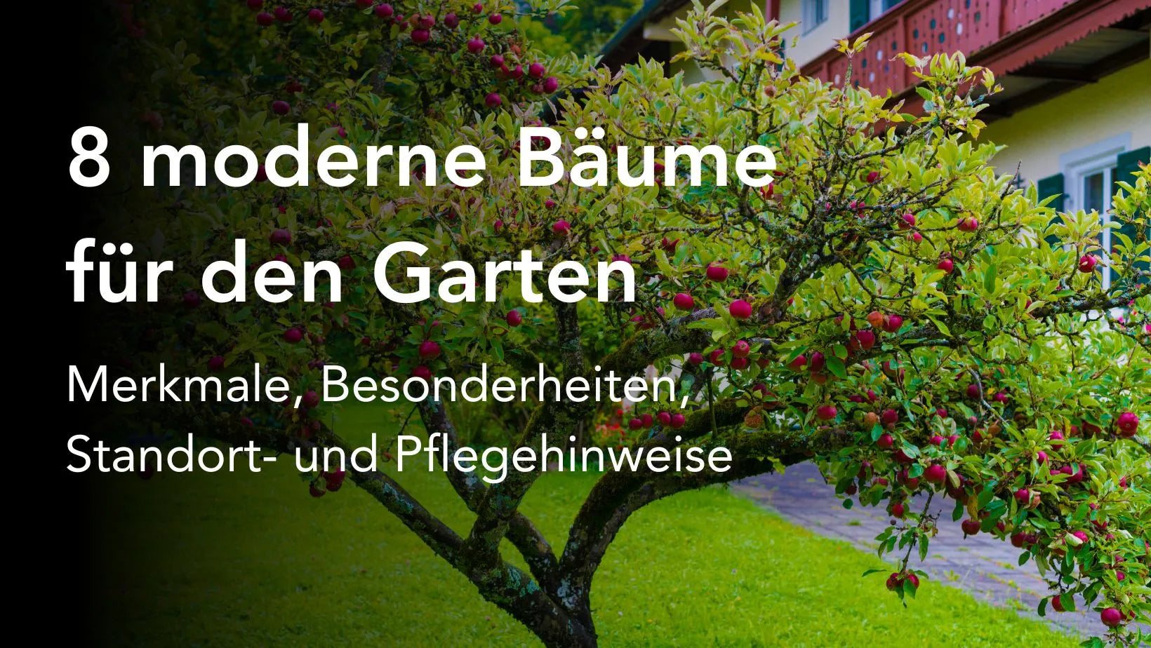 Top 8 wunderschöne und moderne Bäume für den Garten (2024) OFIVO