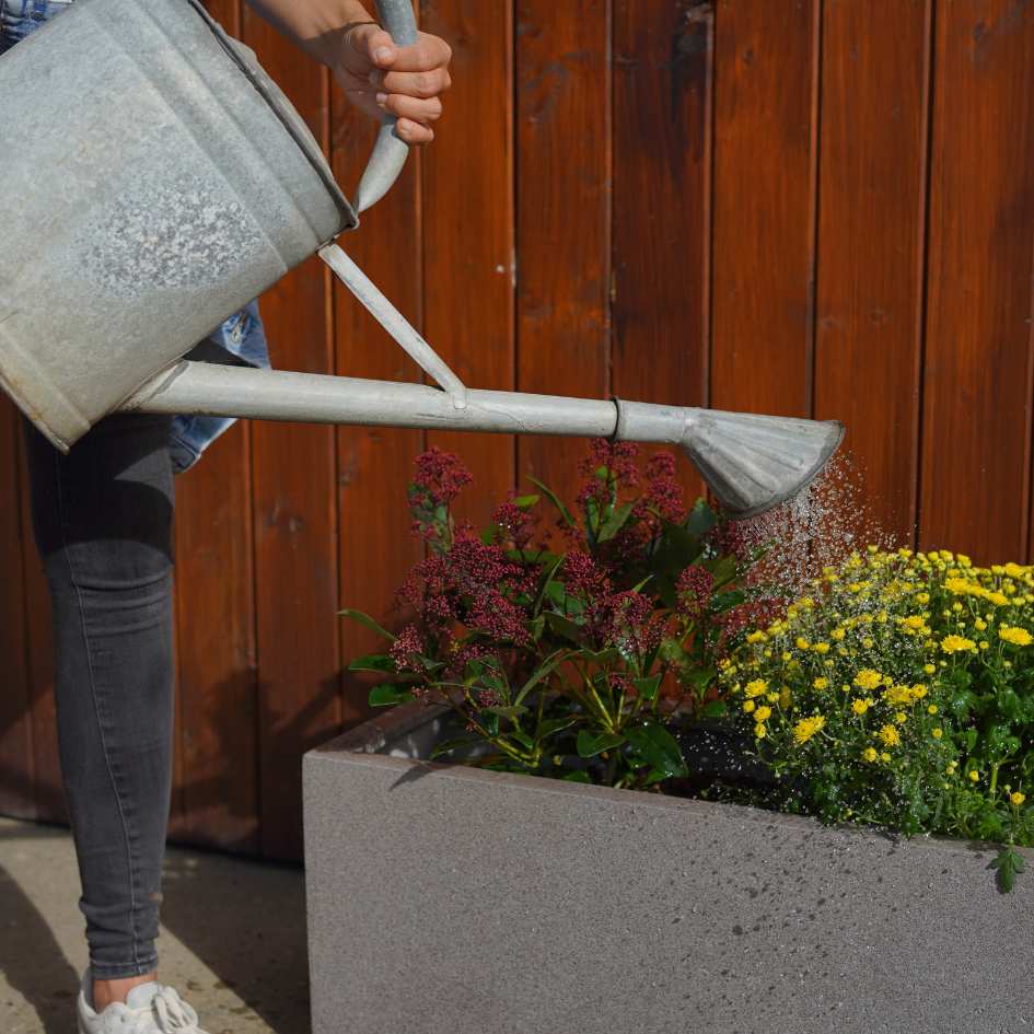 Ein rechteckiger Pflanzkübel wird mit einer Zink Gießkanne bewässert