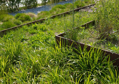 Kreativ und stylish: Cortenstahl-Design in deinem Garten!