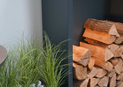 Brennholz lagern - die wichtigsten Tipps