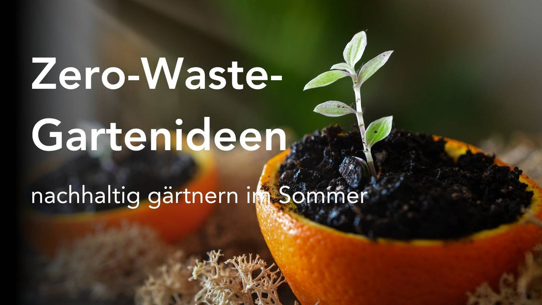 Zero-Waste Gartenideen für den Sommer - nachhaltig gärtnern