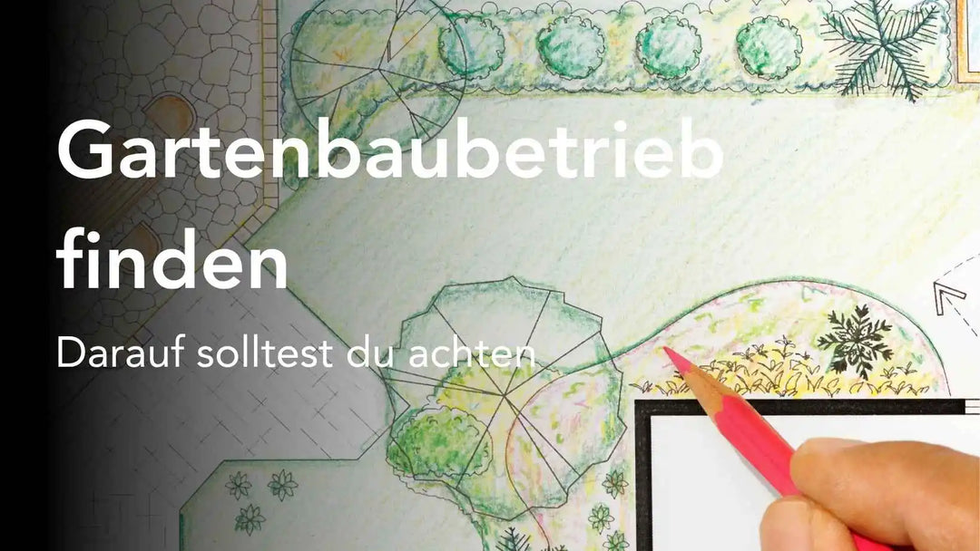 Den richtigen Gartenbaubetrieb finden - darauf solltest du achten