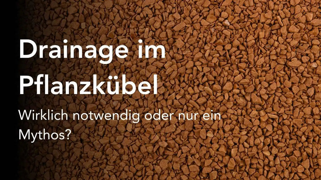 Drainage im Pflanzkübel - wirklich notwendig oder nur ein Mythos?