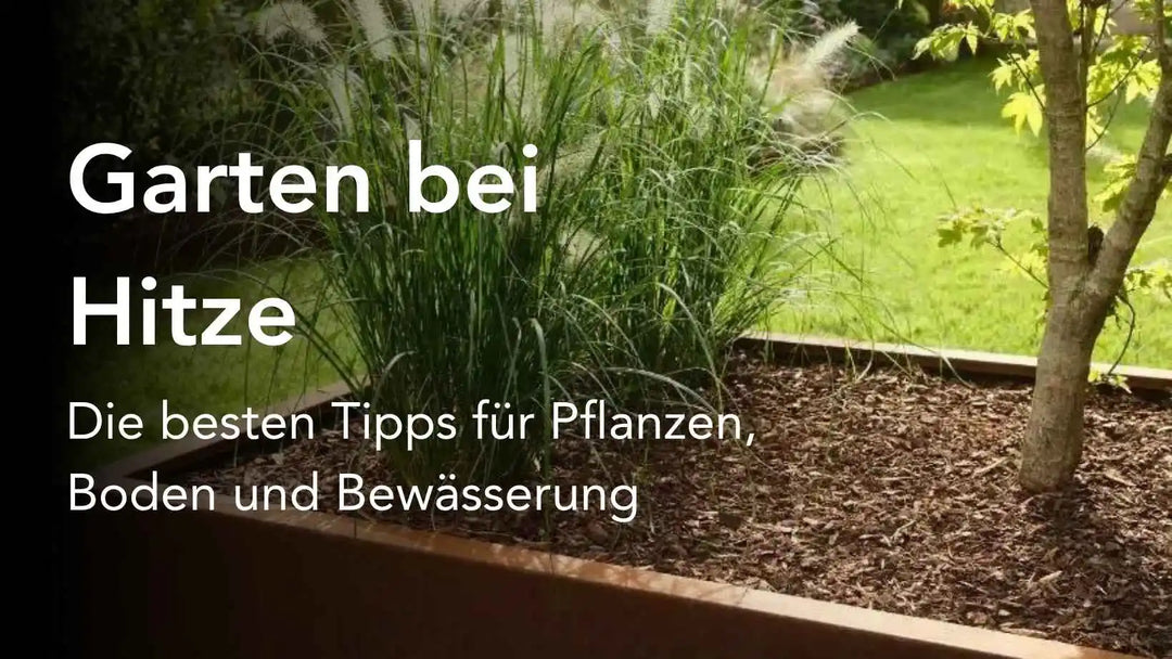 Garten bei Hitze: Die besten Tipps für Pflanzen, Boden und Bewässerung