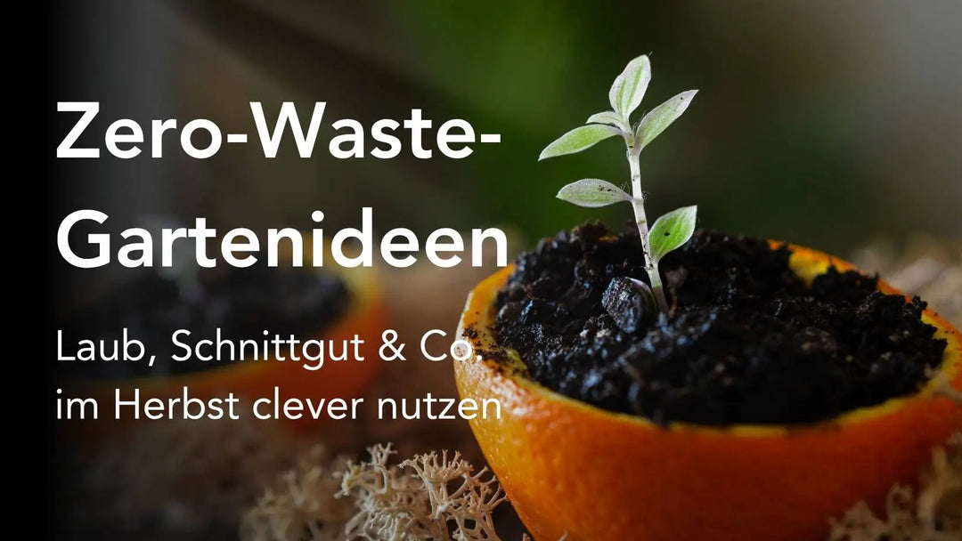 Zero-Waste-Gartenideen für den Herbst – Laub, Schnittgut & Co. clever nutzen