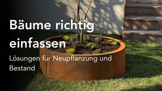 Bäume richtig einfassen - durchdachte Lösungen für Neupflanzung und Bestand