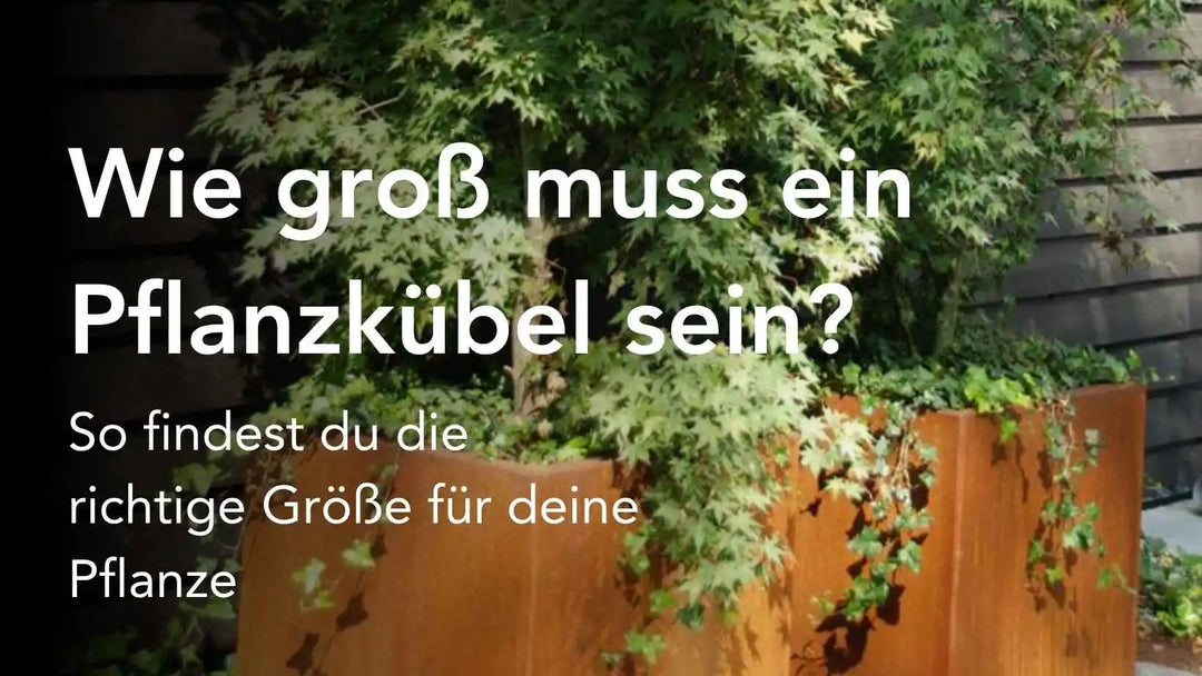 Wie groß muss ein Pflanzkübel sein? So findest Du die richtige Größe für Deine Pflanzen