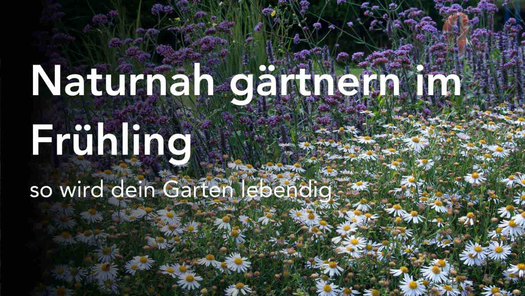 Naturnah gärtnern im Frühling - so wird dein Garten lebendig