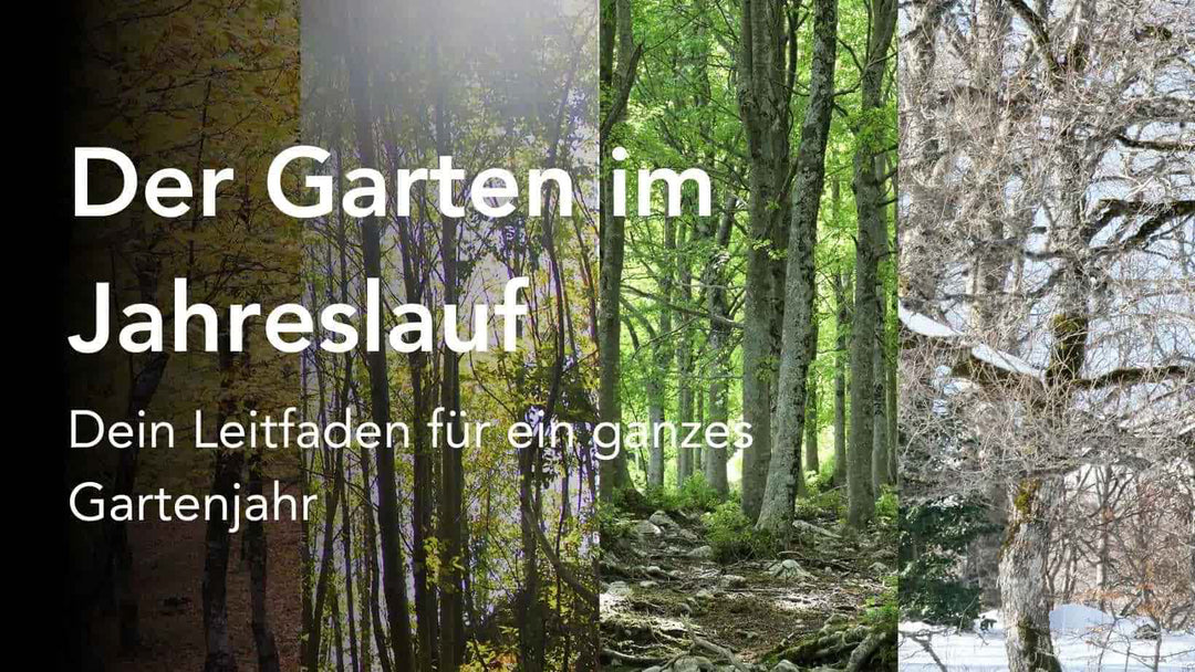 Der Garten im Jahreslauf - Dein Leitfaden für ein ganzes Gartenjahr