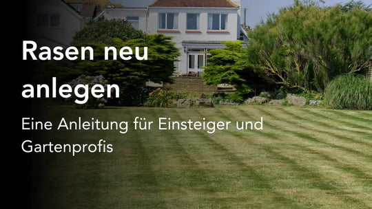 Rasen neu anlegen - Eine Anleitung für Einsteiger und Gartenprofis