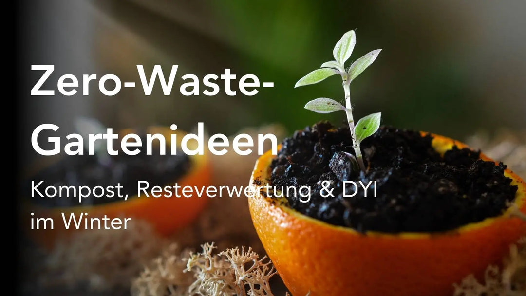 Zero-Waste-Gartenideen für den Winter - Kompost, Resteverwertung & DIY
