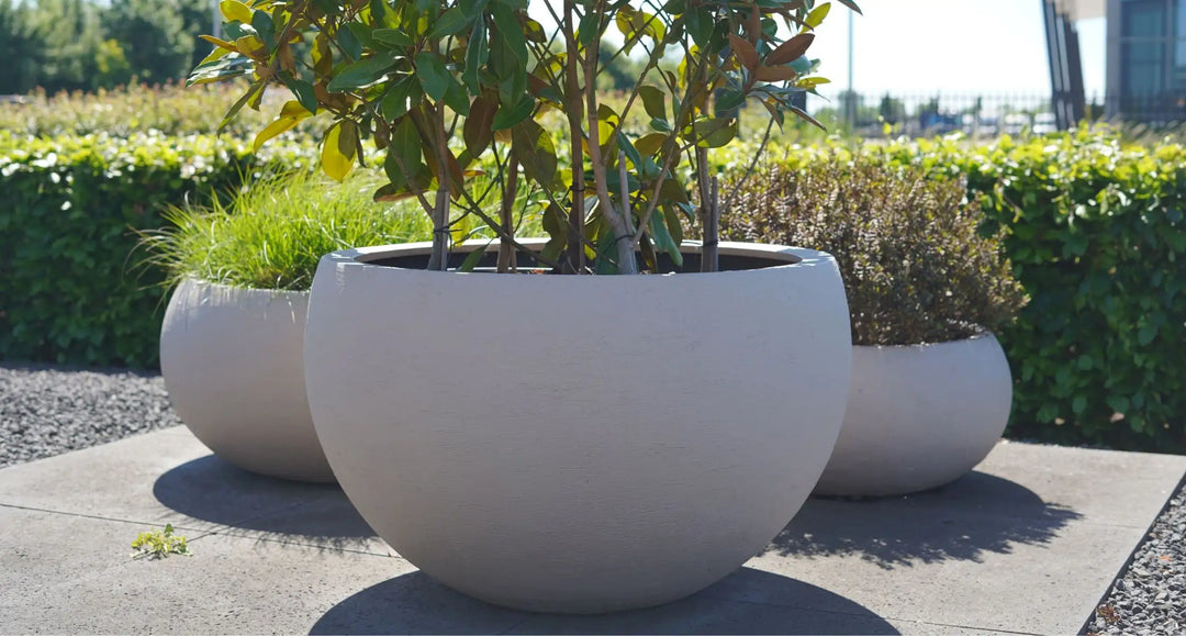 3 xxl Fiberglas Pflanzkübel im Freien