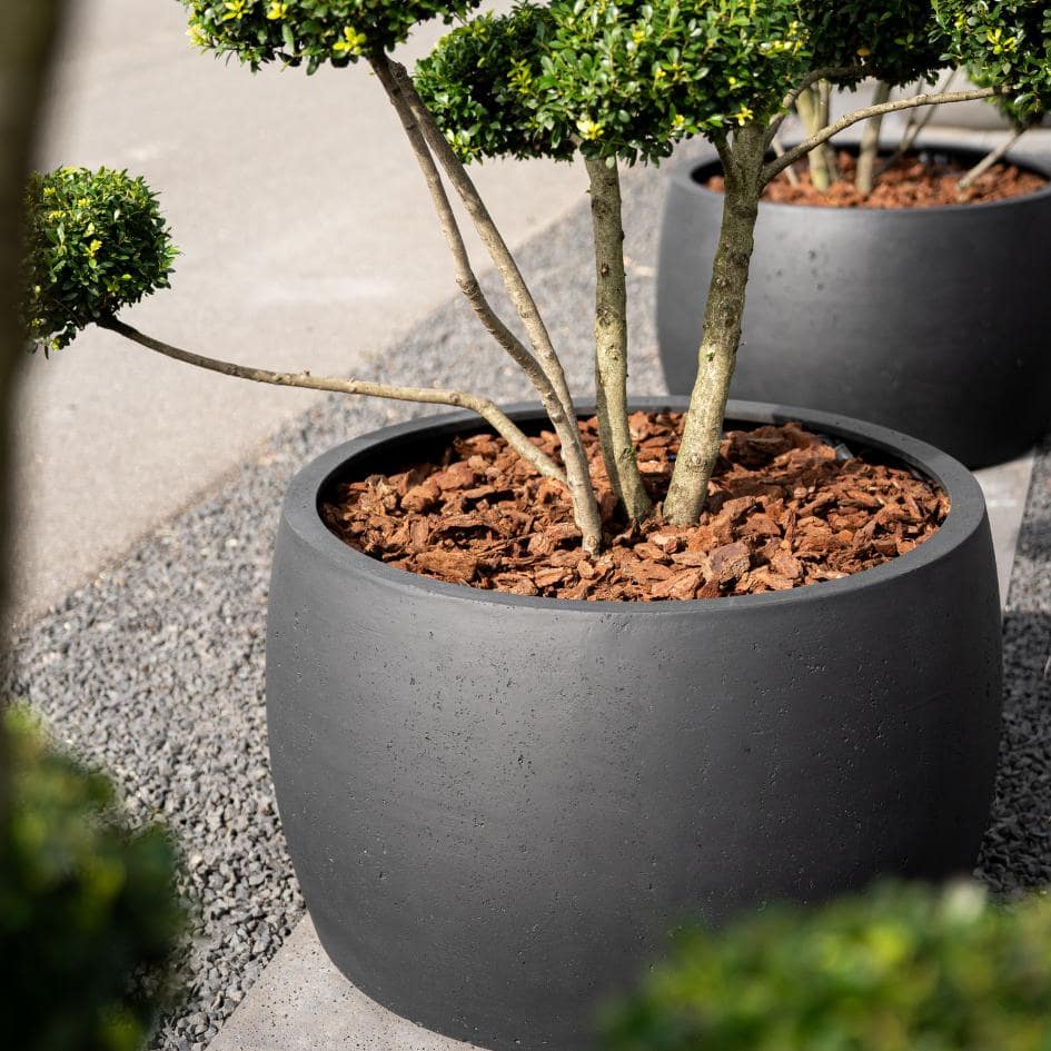 Pflanzkübel Fiberglas Betonoptik