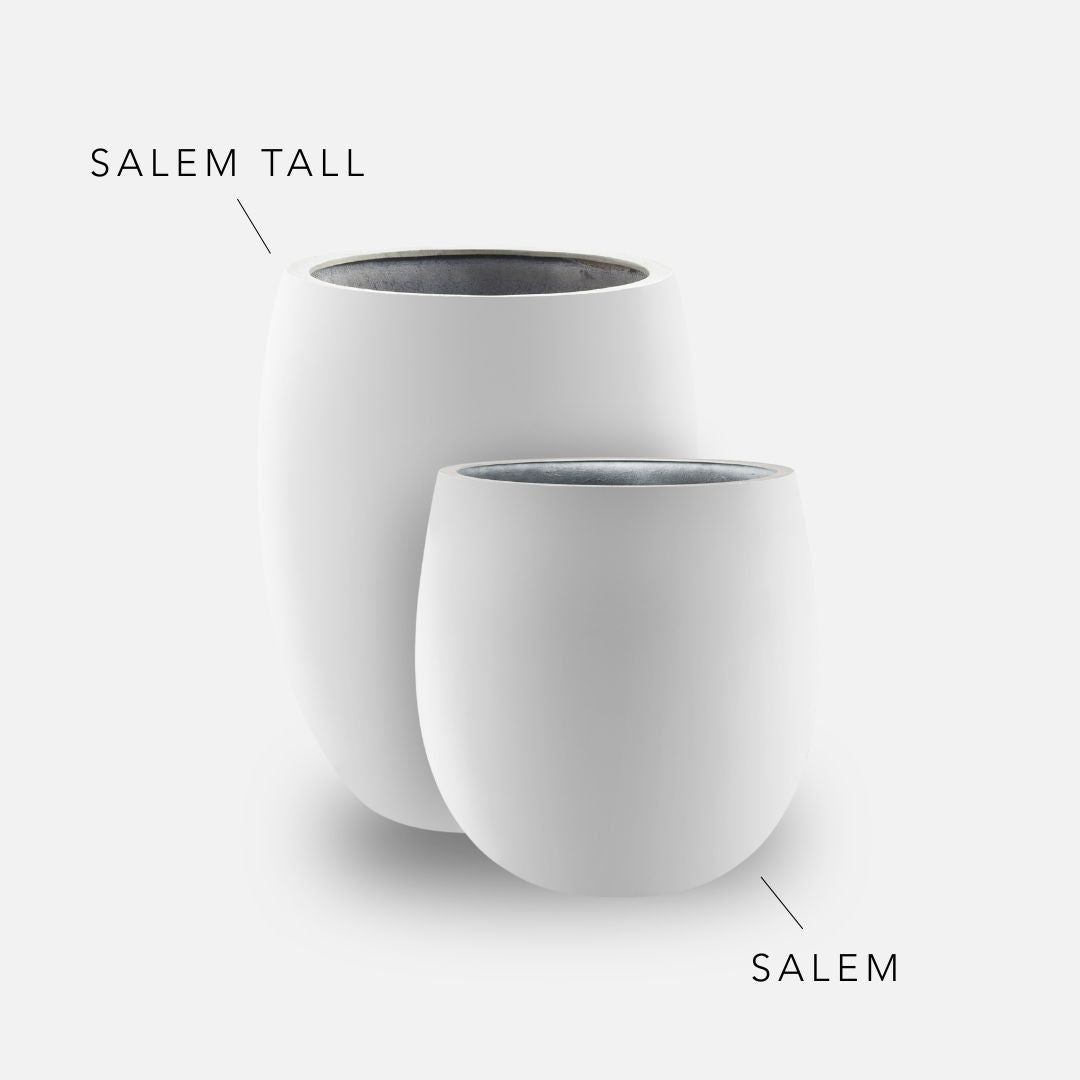 Bundle: Fiberglas matt Pflanzkübel "SALEM" weiß seidenmatt