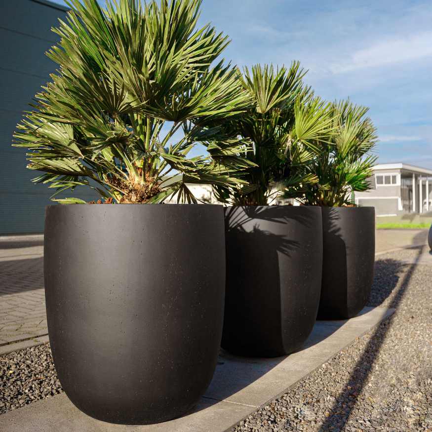 Pflanzkübel Esto Tall Betonoptik