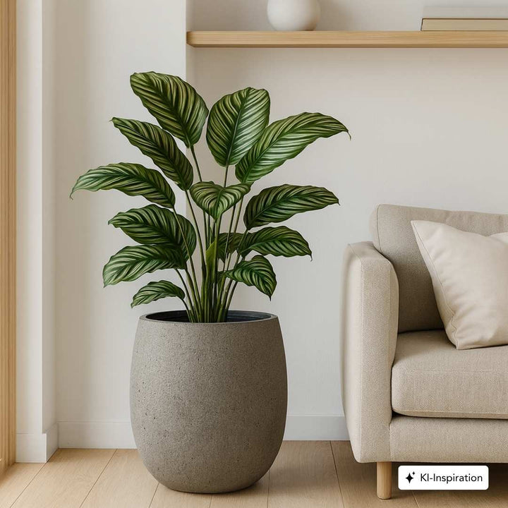 Pflanzkübel Alva Betonoptik