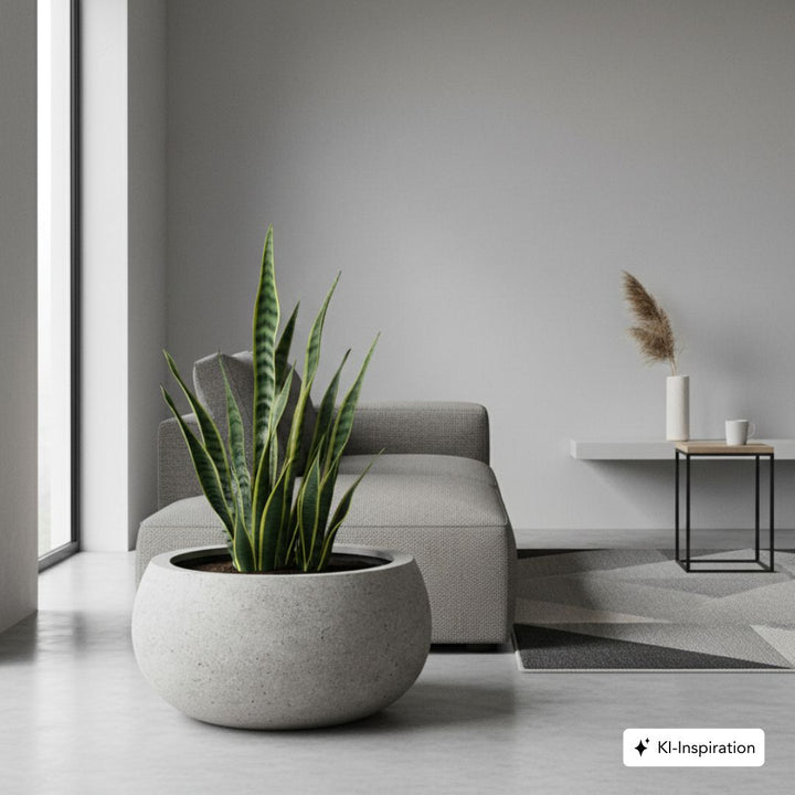 Pflanzkübel Alva Low Betonoptik
