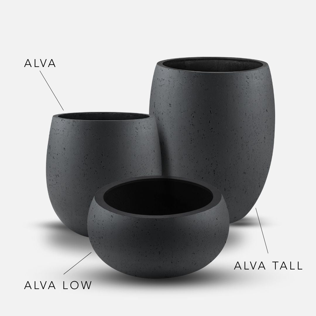 Bundle: Betonoptik Pflanzkübel "ALVA" Anthrazit