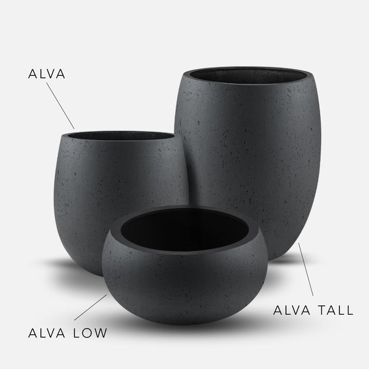 Bundle: Betonoptik Pflanzkübel "ALVA" Anthrazit