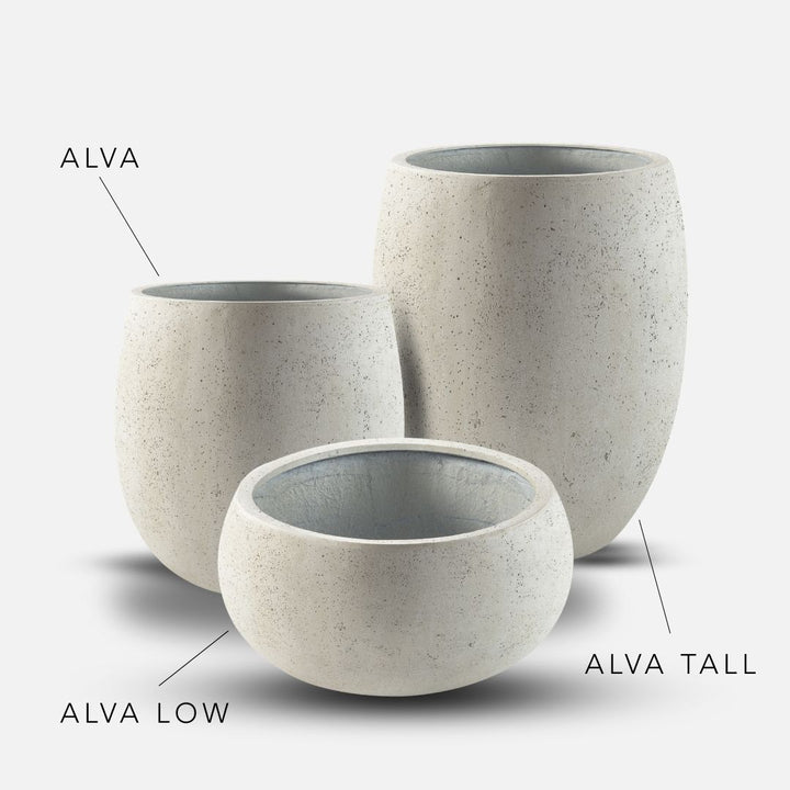 Bundle: Betonoptik Pflanzkübel "ALVA" Creme