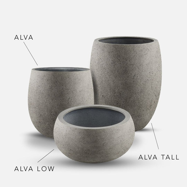 Bundle: Betonoptik Pflanzkübel "ALVA" Grau