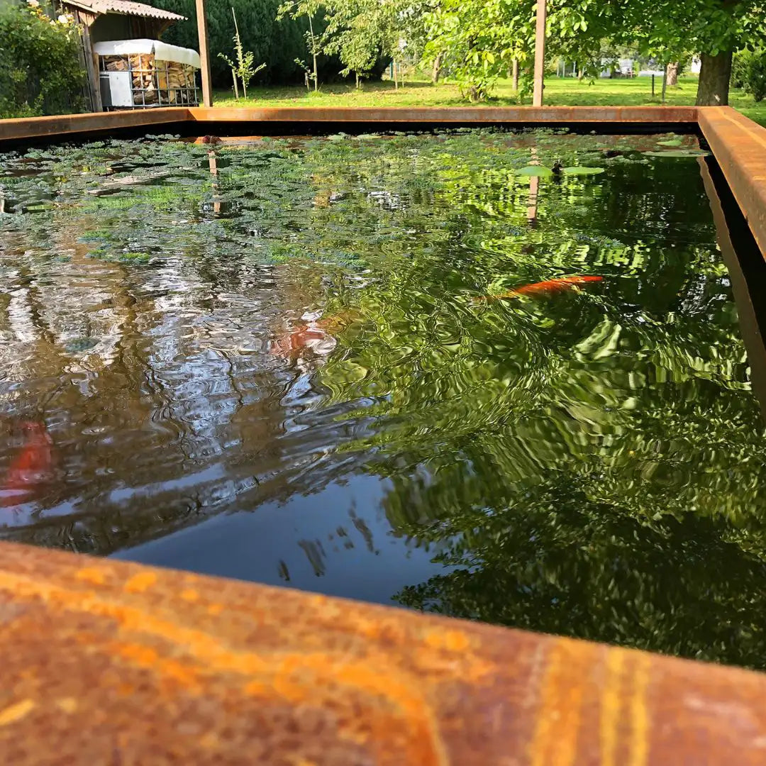 Cortenstahl Wasserbecken MONTARA mit Fischen darin Nahaufnahme