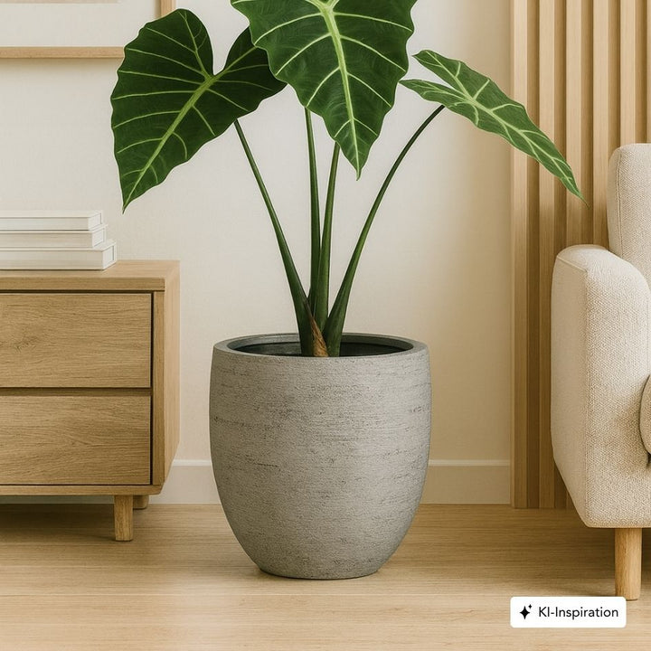 Pflanzkübel Elyria Lehmoptik