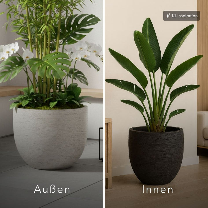 Pflanzkübel Elyria Lehmoptik