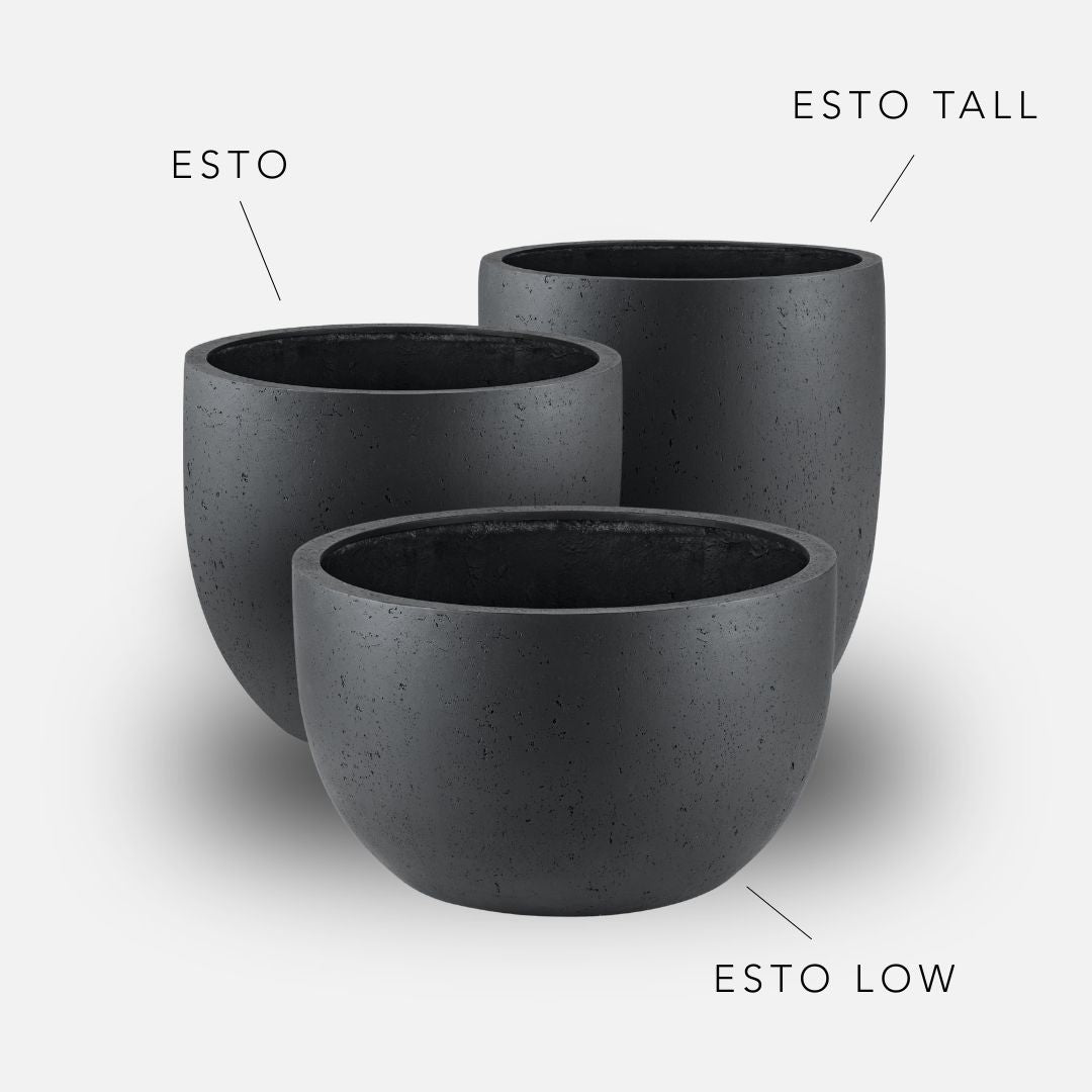 Bundle: Betonoptik Pflanzkübel "ESTO" Anthrazit