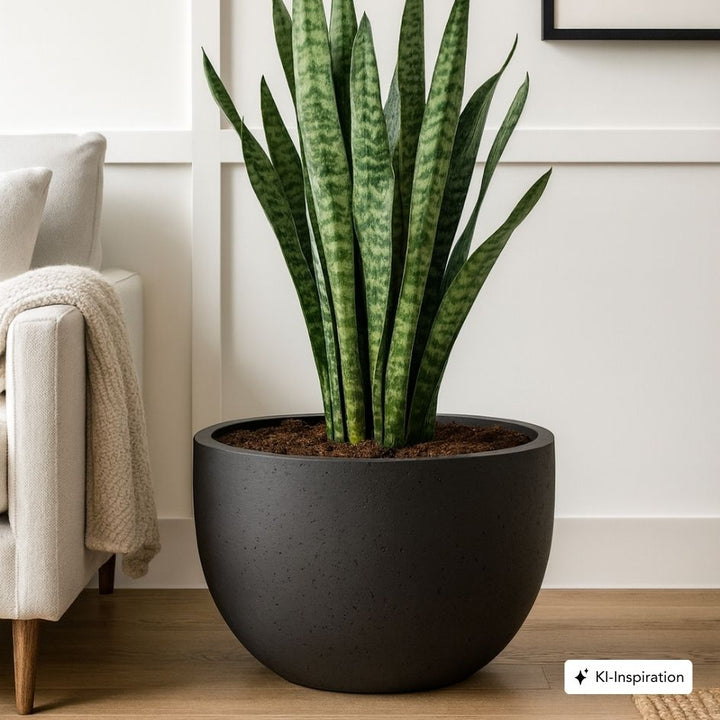 Pflanzkübel Esto Low Betonoptik