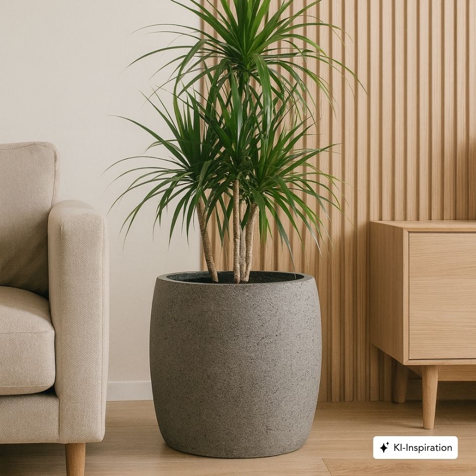 Pflanzkübel Kelso Betonoptik