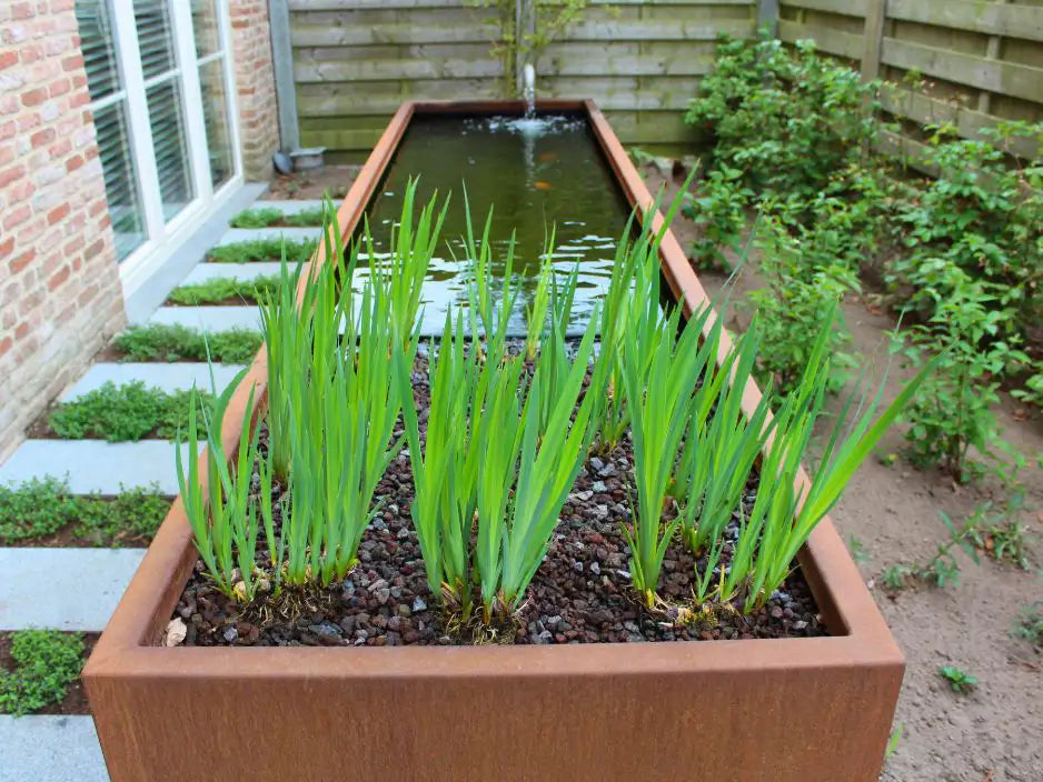 Cortenstahl Wasserbecken mit Pflanzen darin