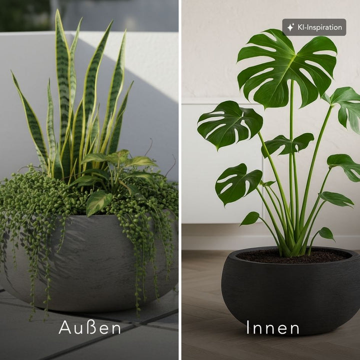 Pflanzkübel Lillian Low Lehmoptik