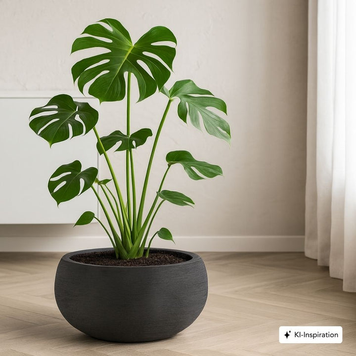 Pflanzkübel Lillian Low Lehmoptik