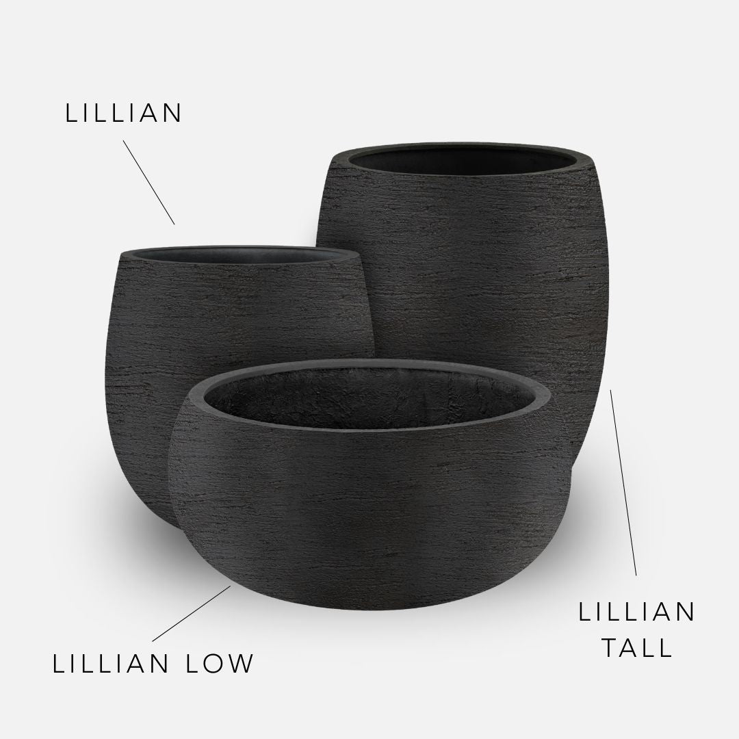 Bundle: Lehmoptik Pflanzkübel "LILLIAN" Schwarz