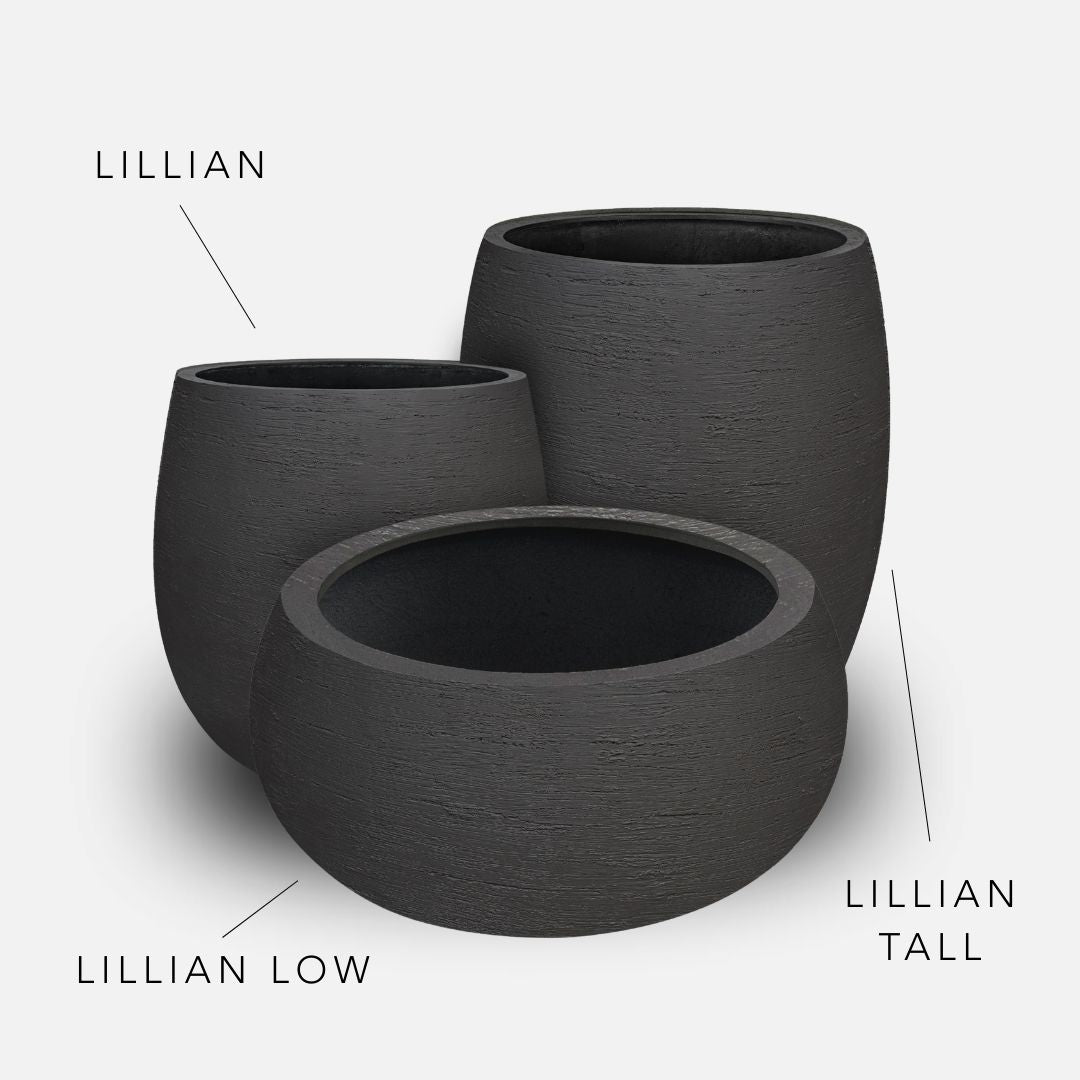 Bundle: Lehmoptik Pflanzkübel "LILLIAN" Schwarz