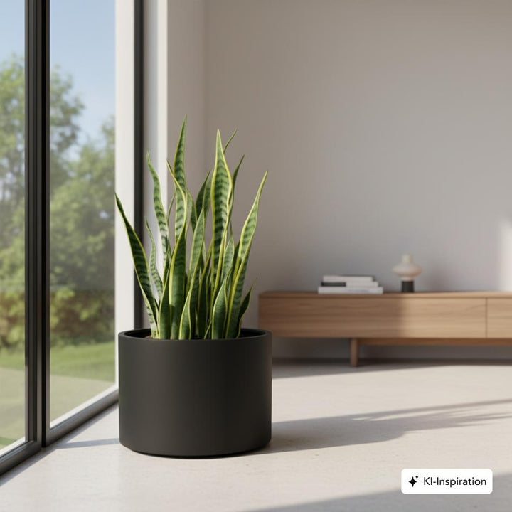 Pflanzkübel Lone Aluminium farbig
