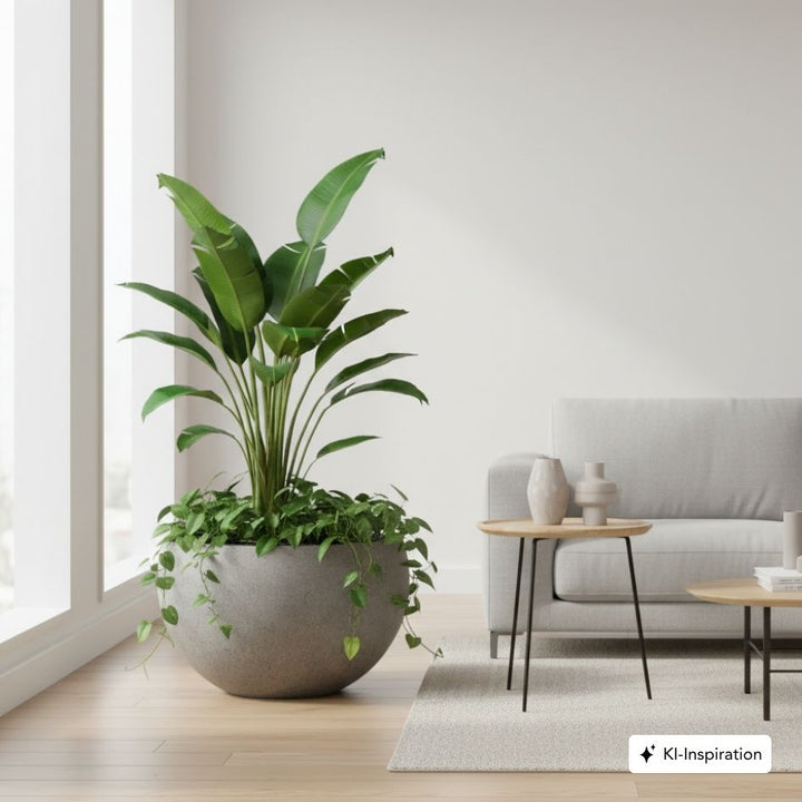 Pflanzkübel Milton Betonoptik