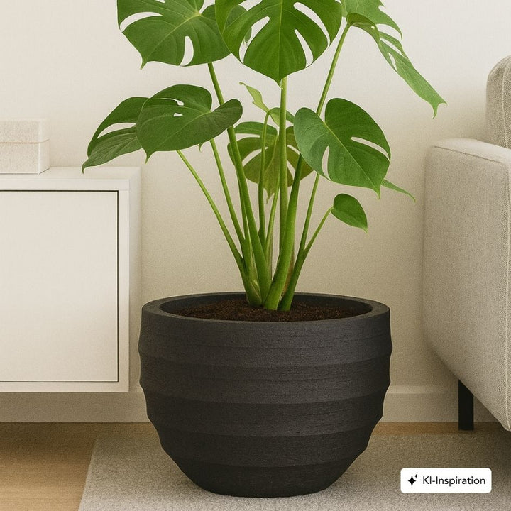 Pflanzkübel Morris Fiberglas