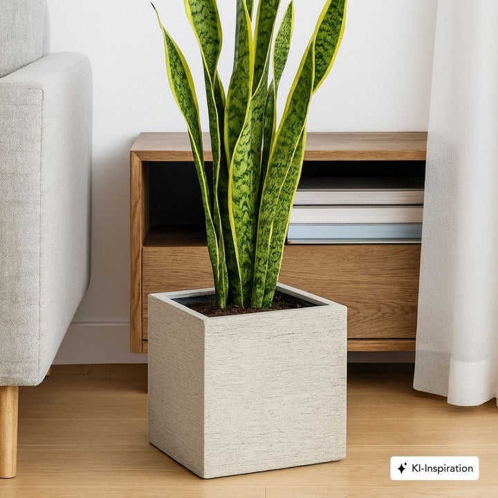 Pflanzkübel Nelson Lehmoptik