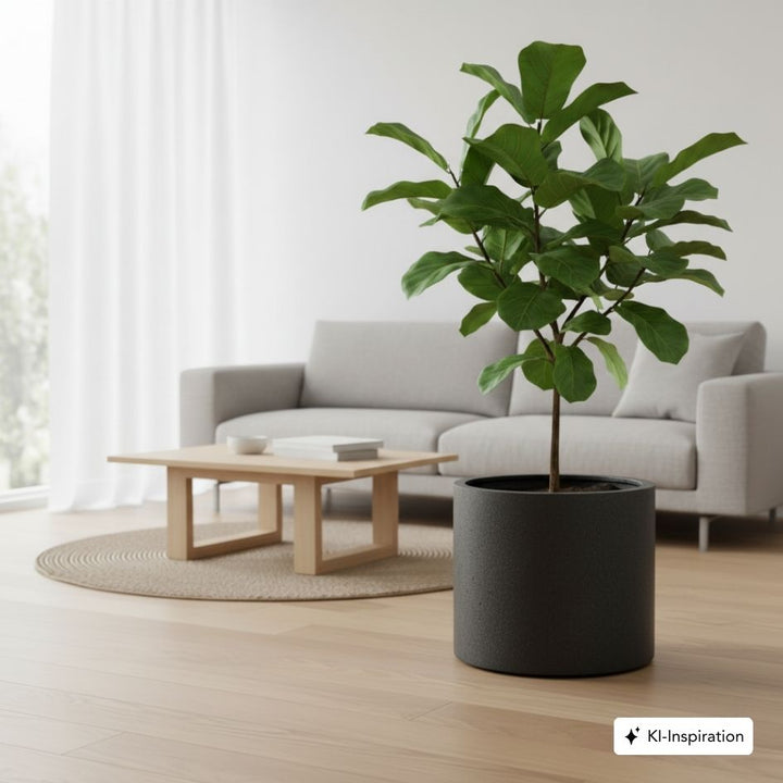 Pflanzkübel Pace Betonoptik