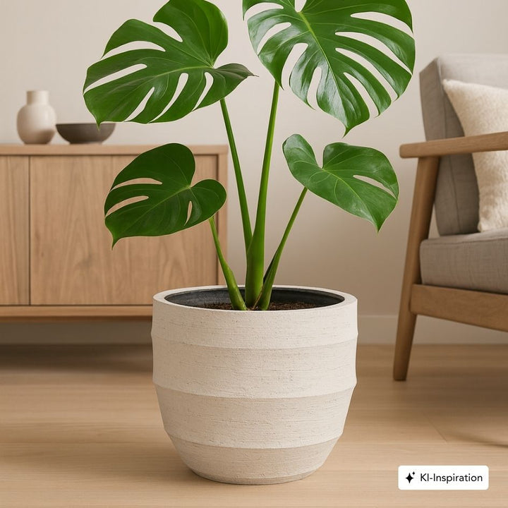 Pflanzkübel Vida Lehmoptik Curved