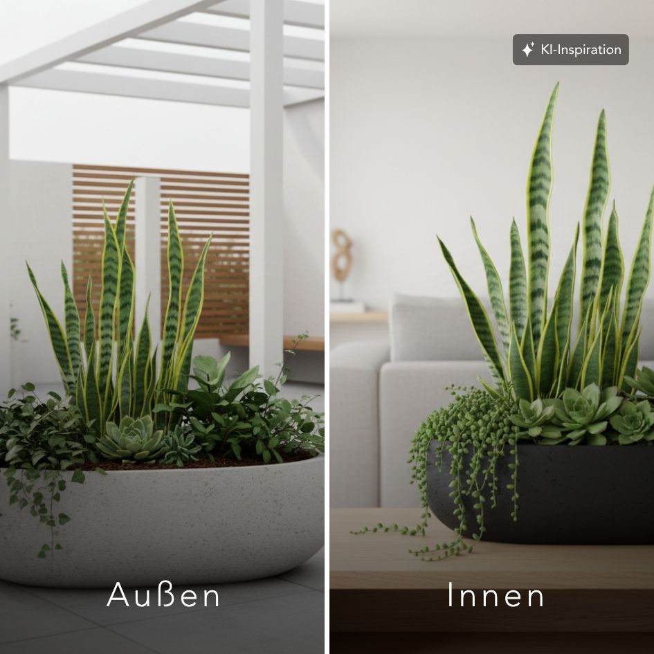 Pflanzschale Waldo Betonoptik