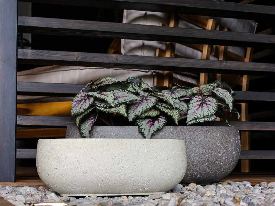 Zwei moderne Pflanzkübel aus Fiberglas in grau und weiß stehen im Innenraum hintereinander